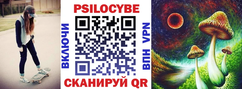 Псилоцибиновые грибы Psilocybe Карабаново